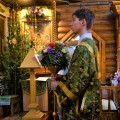 Photo 07